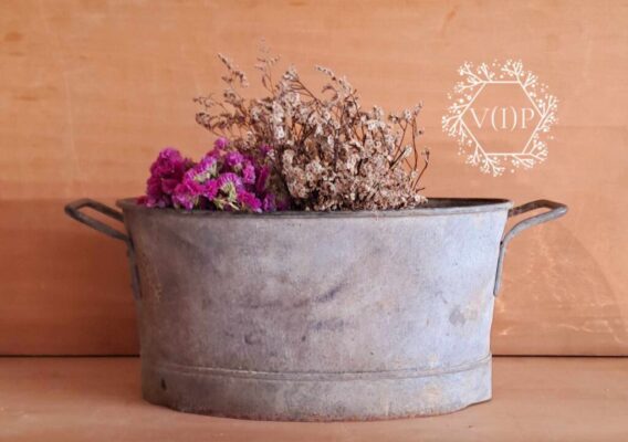 494863736_1406818136986106_6468502249109537802_n